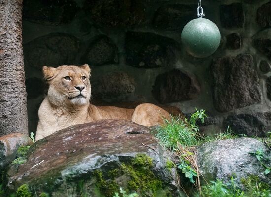 Eberswalde Zoo