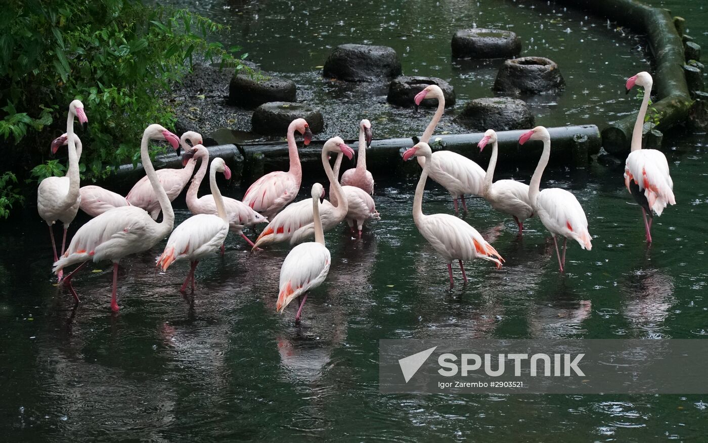 Eberswalde Zoo