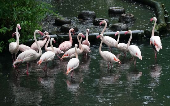 Eberswalde Zoo