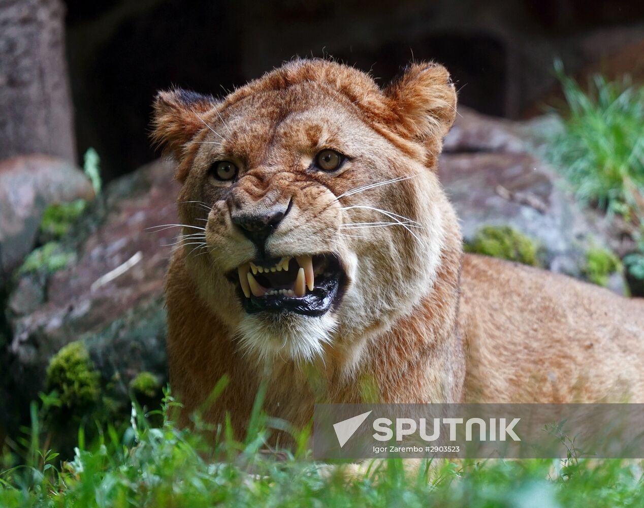 Eberswalde Zoo