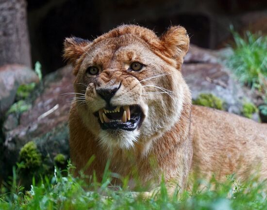 Eberswalde Zoo