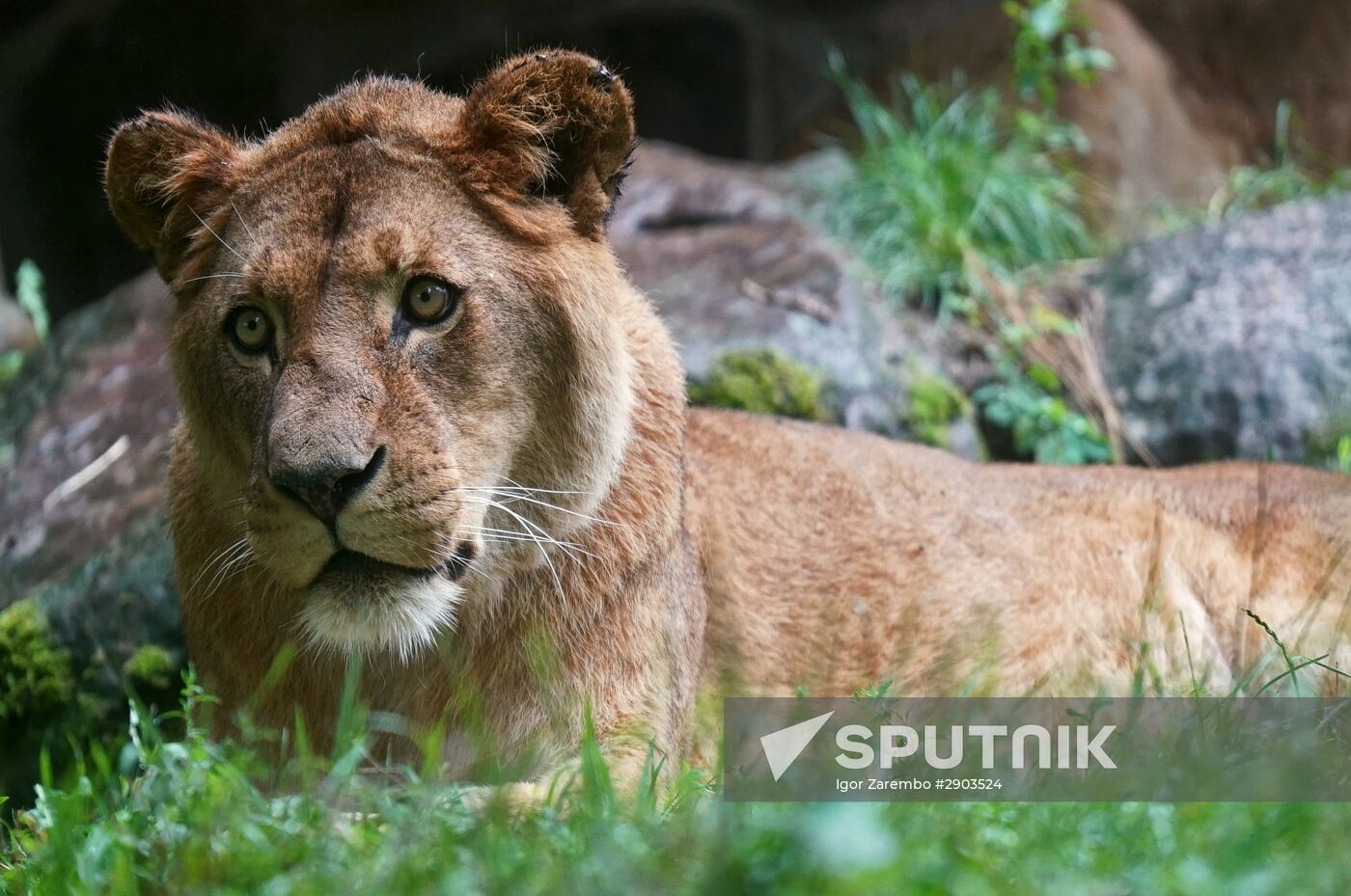 Eberswalde Zoo