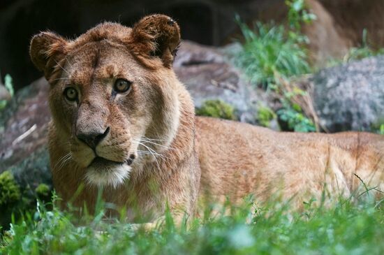 Eberswalde Zoo