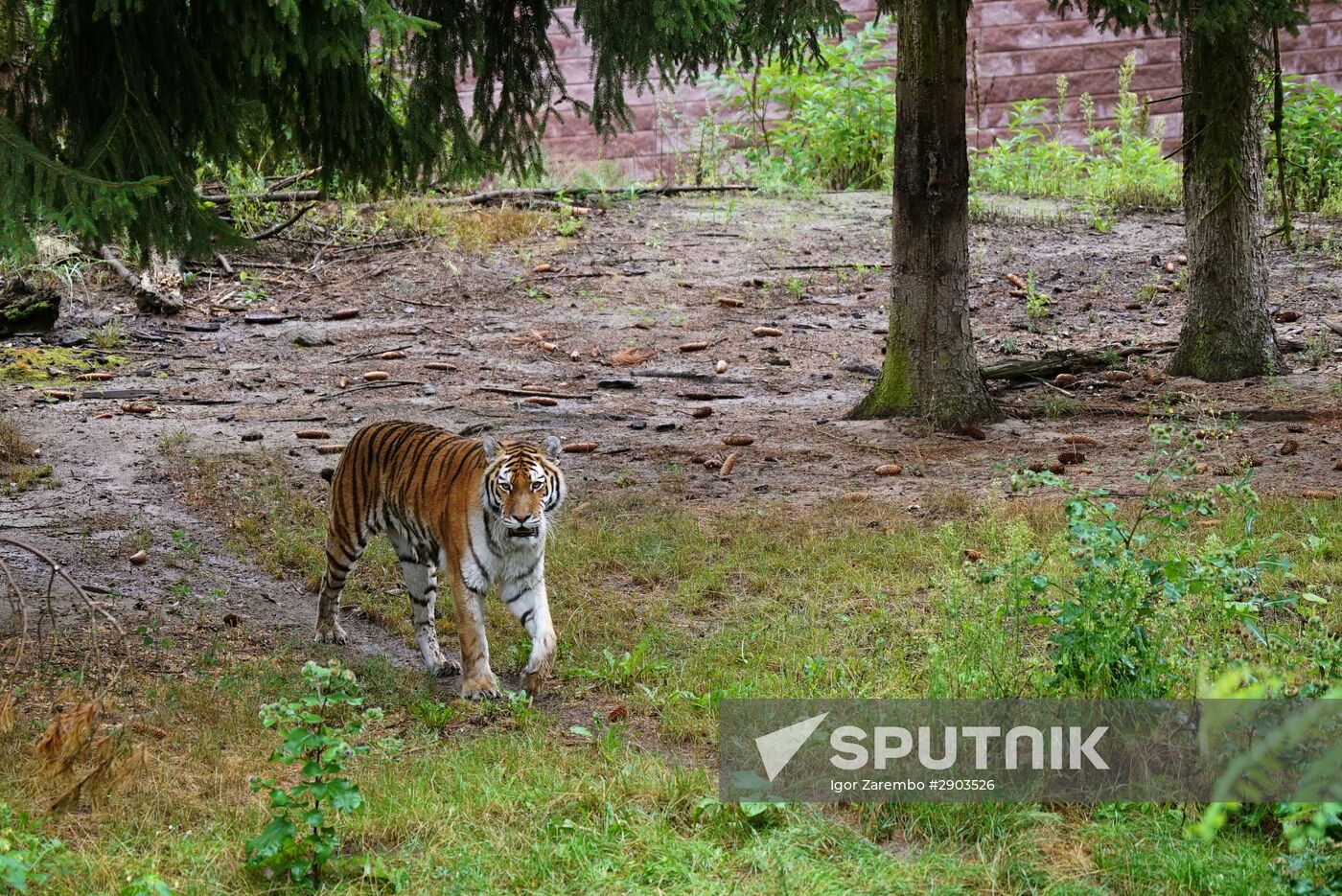 Eberswalde Zoo