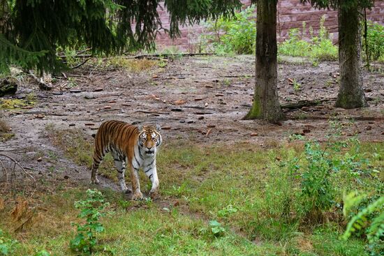 Eberswalde Zoo