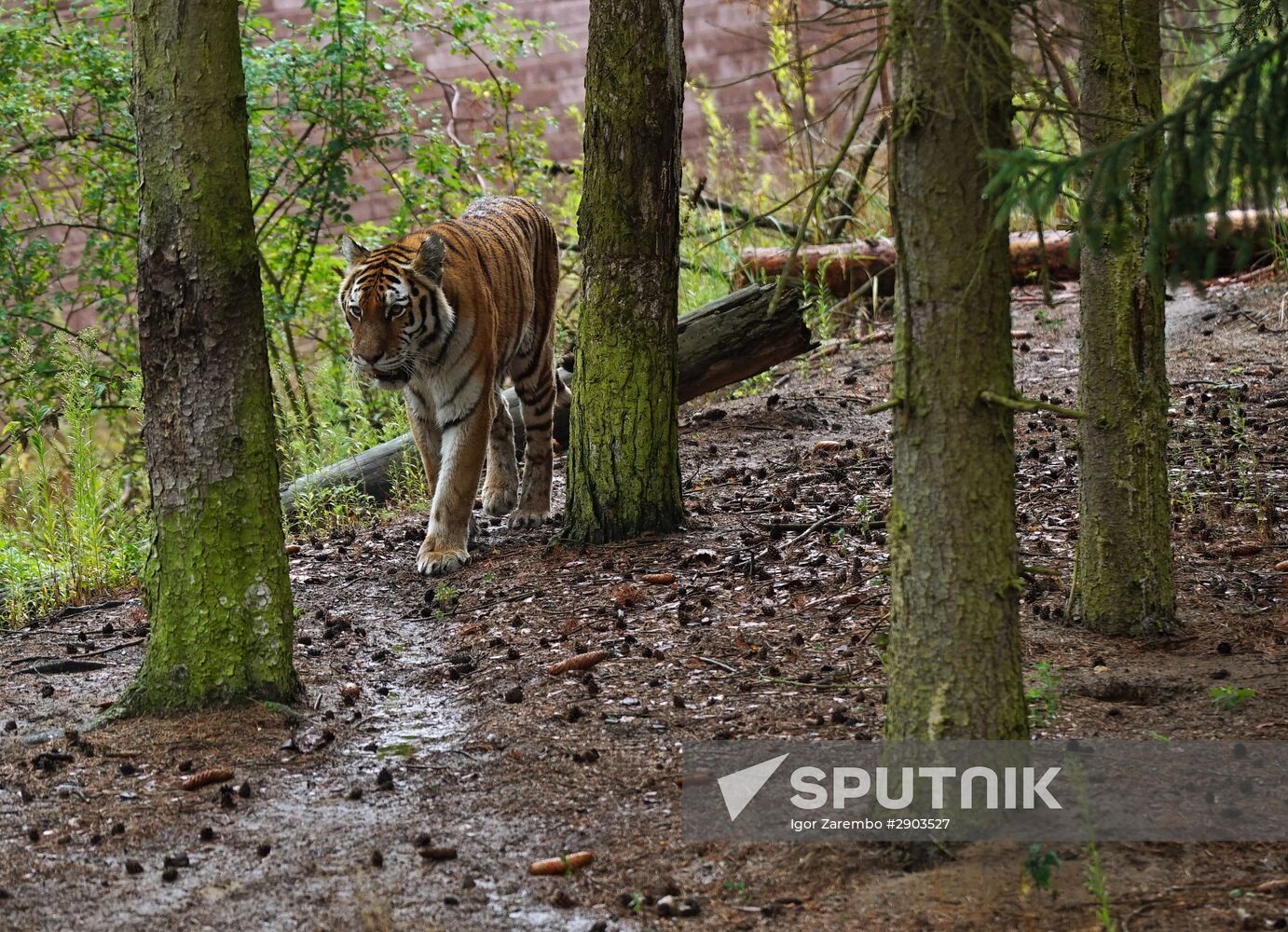 Eberswalde Zoo