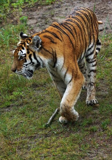 Eberswalde Zoo