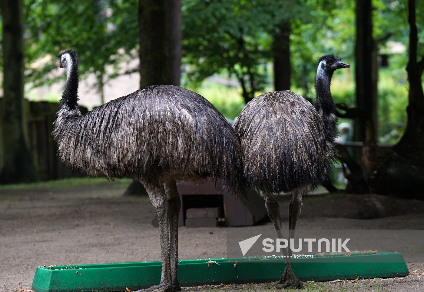 Eberswalde Zoo