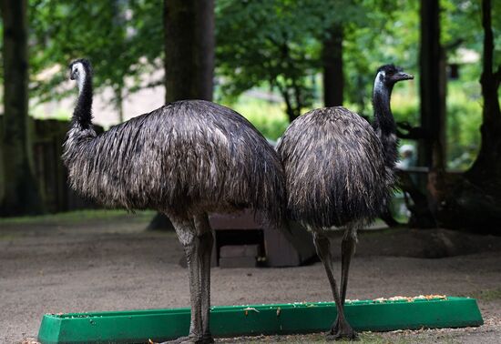 Eberswalde Zoo