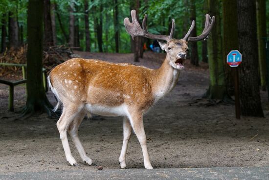 Eberswalde Zoo