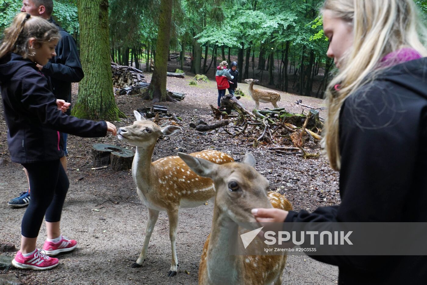 Eberswalde Zoo