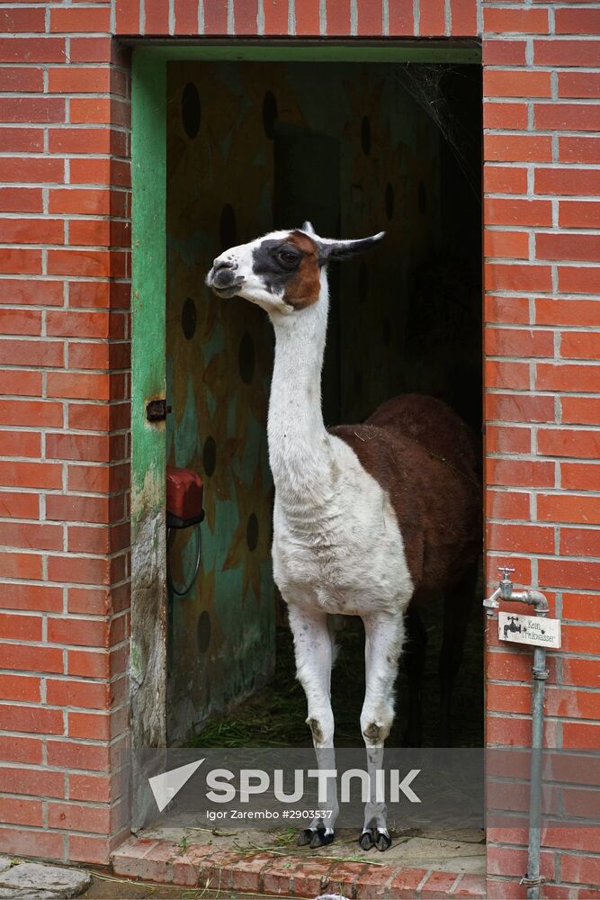 Eberswalde Zoo