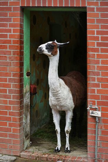 Eberswalde Zoo