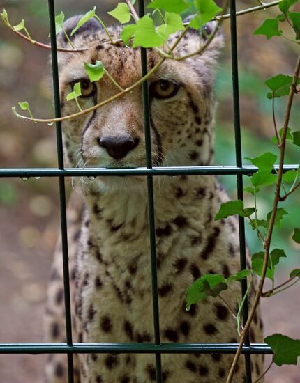 Eberswalde Zoo