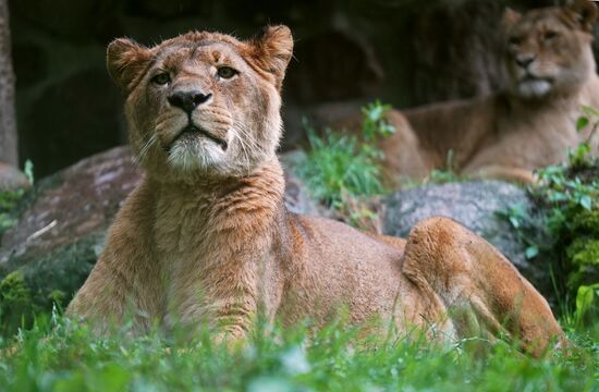 Eberswalde Zoo