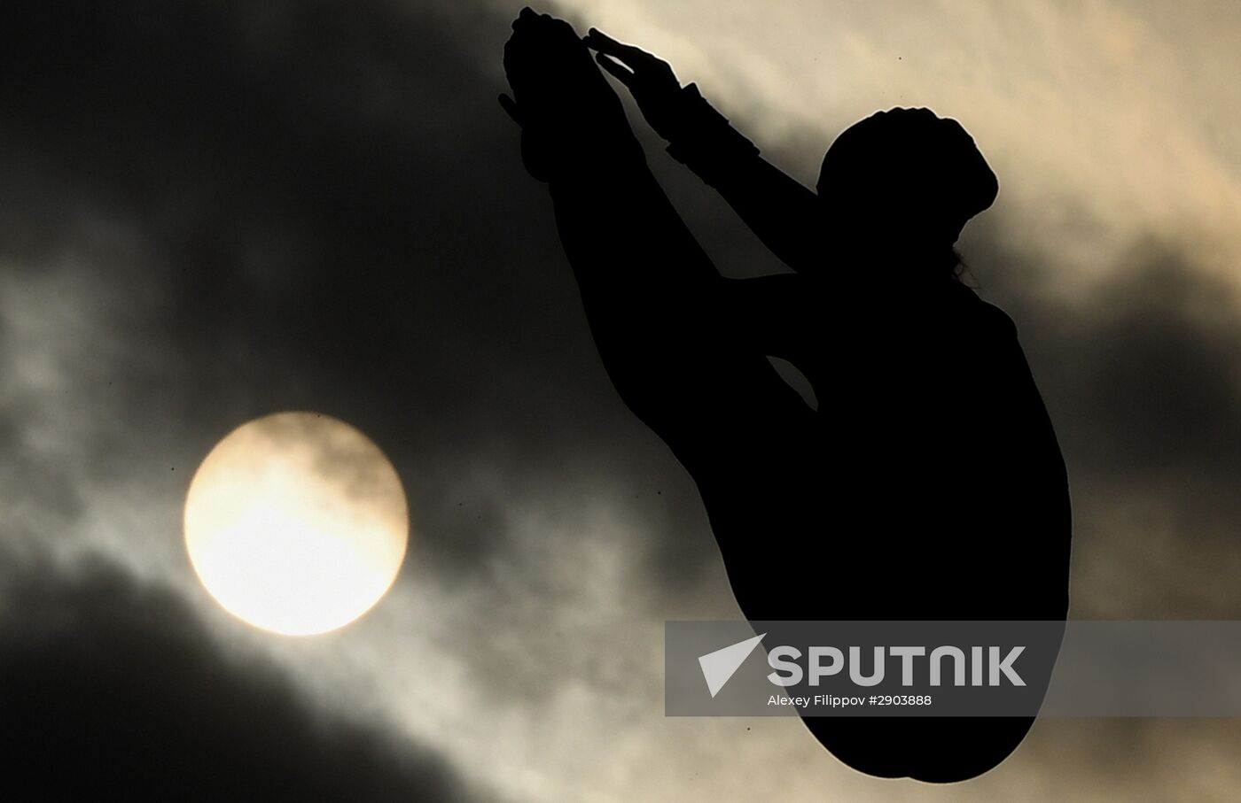 Preparations for 2016 Summer Olympics in Rio de Janeiro