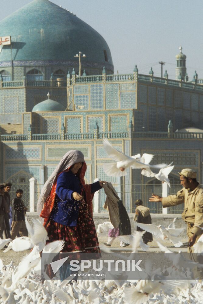 White doves by the Mosque of Mazar-i-Sharif (Afghanistan)