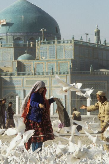 White doves by the Mosque of Mazar-i-Sharif (Afghanistan)