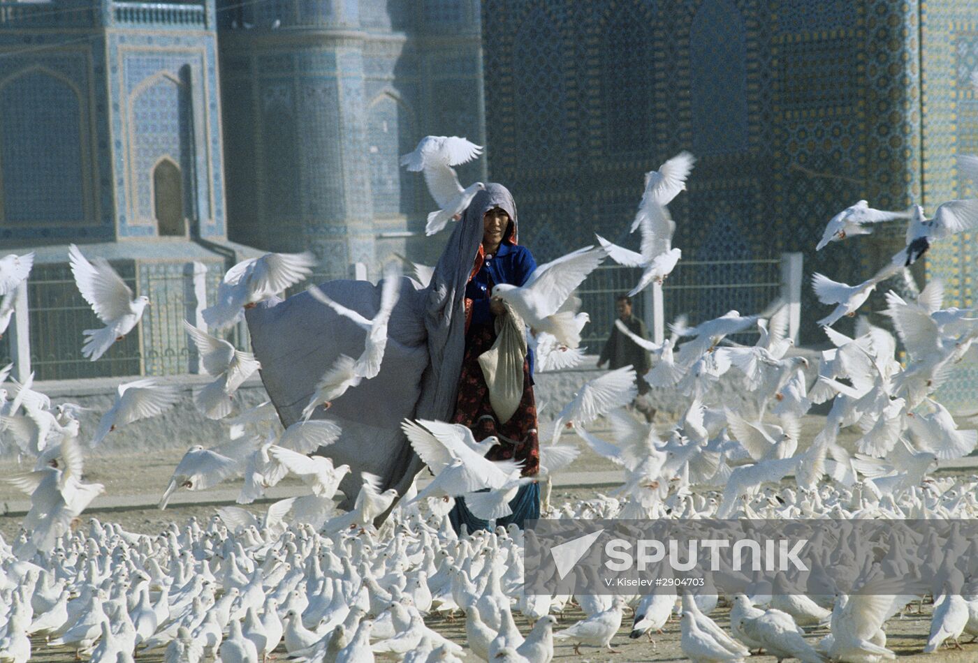 White doves by the Mosque of Mazar-i-Sharif