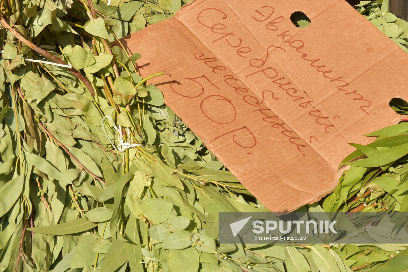 Market trade in Gagra
