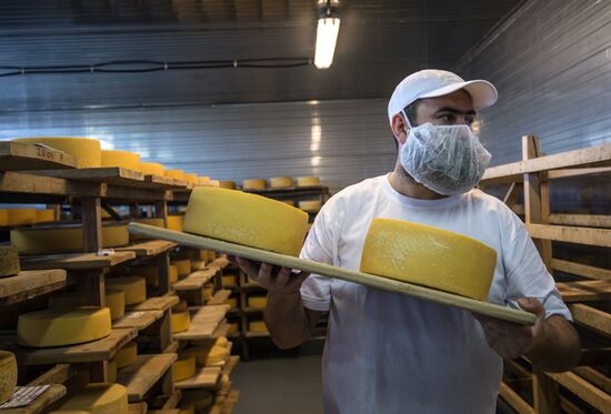 Cheese festival in the Moscow region