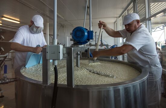 Cheese festival in the Moscow region