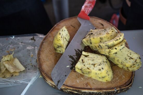 Cheese festival in the Moscow region