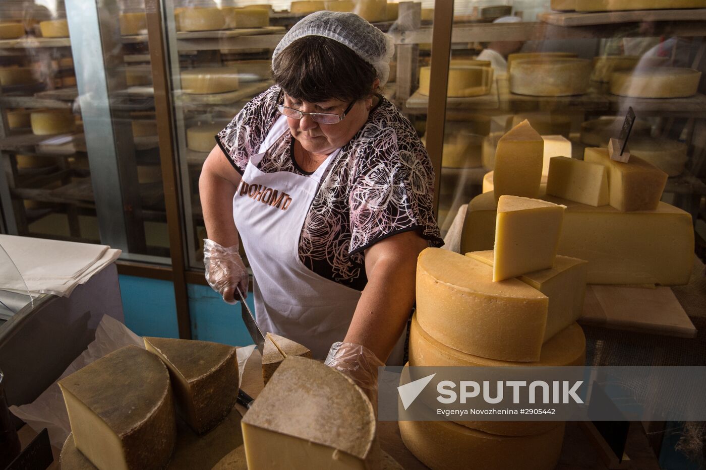 Cheese festival in the Moscow region