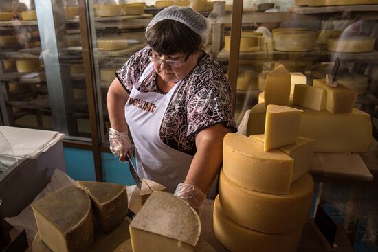 Cheese festival in the Moscow region