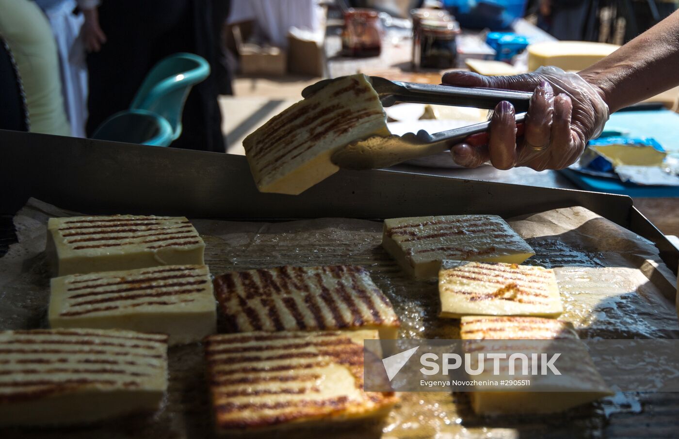 Cheese festival in the Moscow region