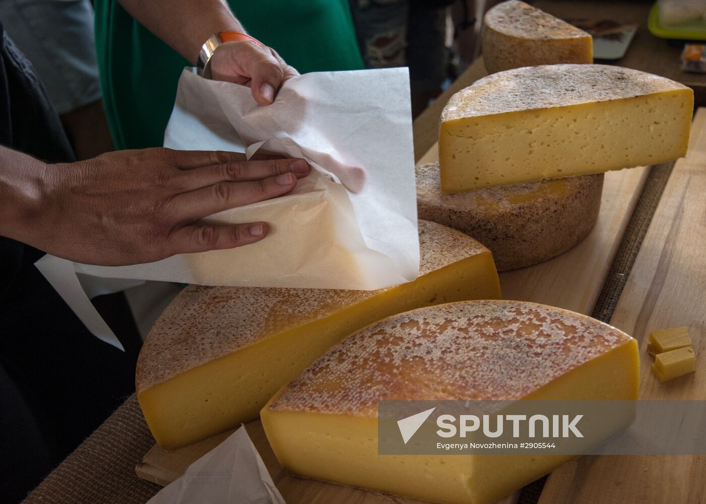 Cheese festival in the Moscow region