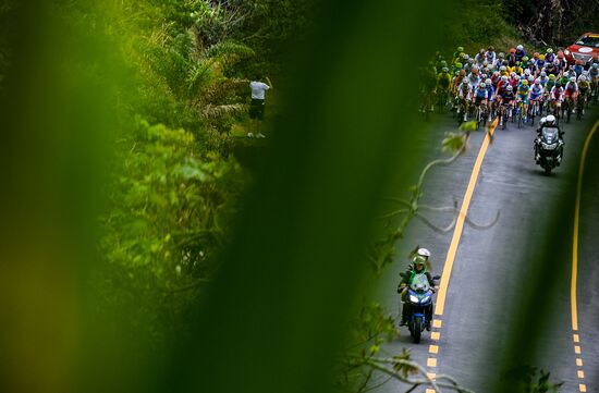 2016 Summer Olympics. Road cycling. Women