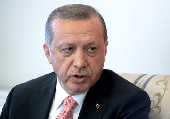 Meeting of Russian President Vladimir Putin and President of Turkey Recep Tayyip Erdogan in St. Petersburg