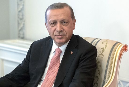 Meeting of Russian President Vladimir Putin and President of Turkey Recep Tayyip Erdogan in St. Petersburg