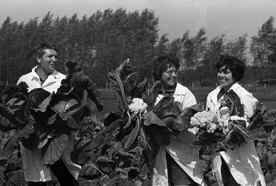 Siberian branch of USSR Academy of Agricultural Sciences