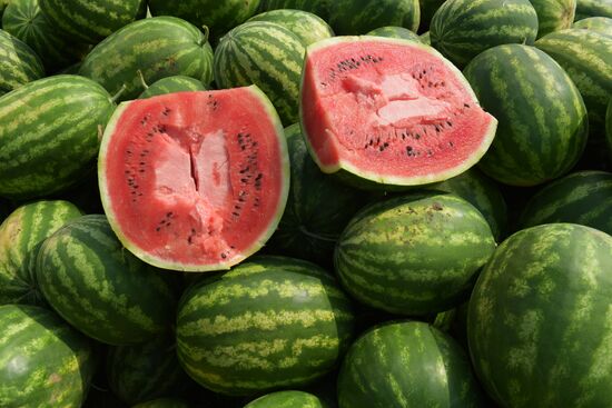 Watermelons harvested in Abkhazia