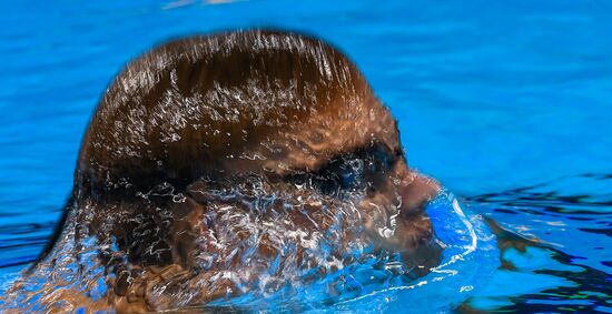 2016 Summer Olympics. Swimming. Day Five
