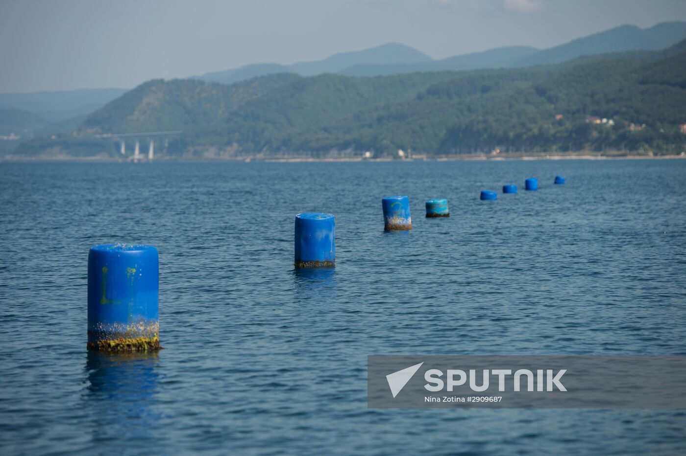 Shellfish farm in Sochi