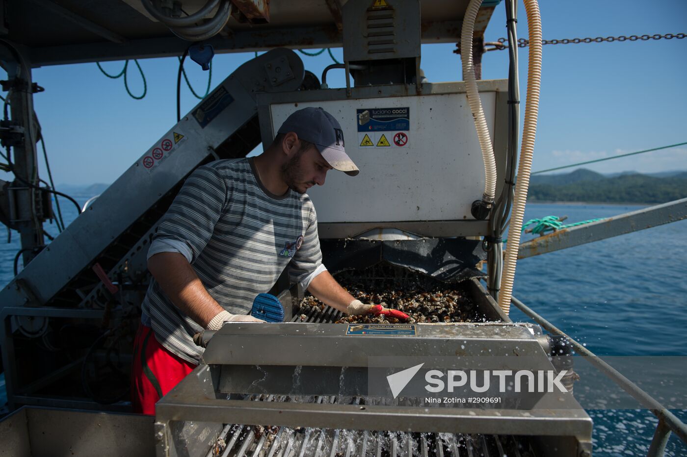 Shellfish farm in Sochi