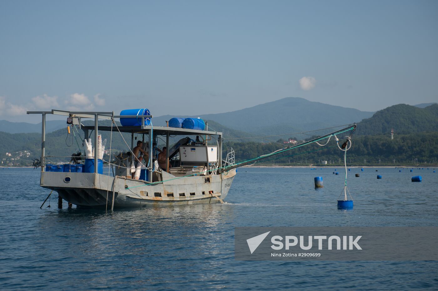 Shellfish farm in Sochi