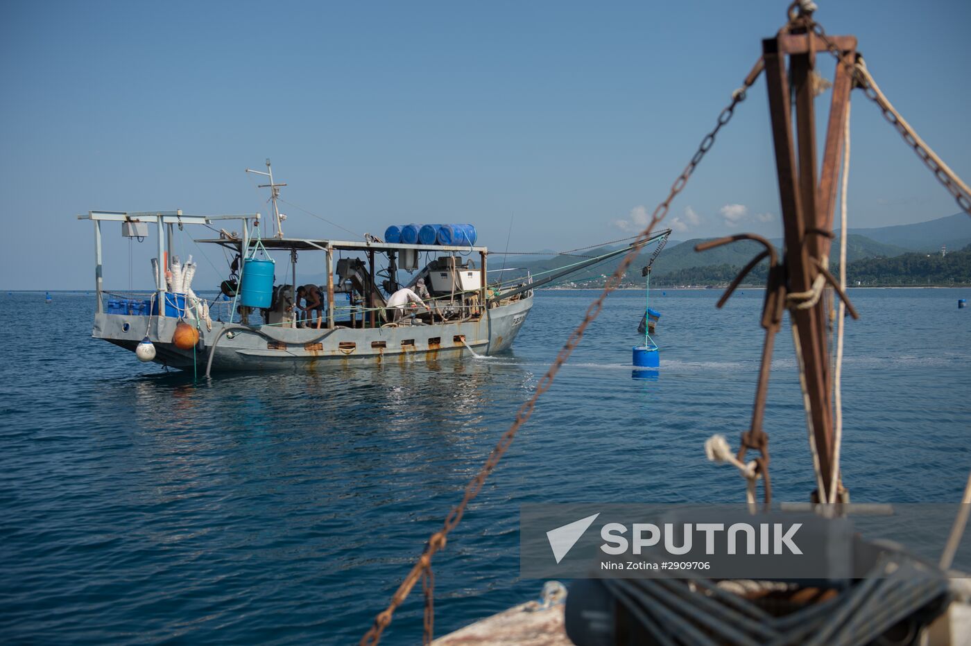 Shellfish farm in Sochi