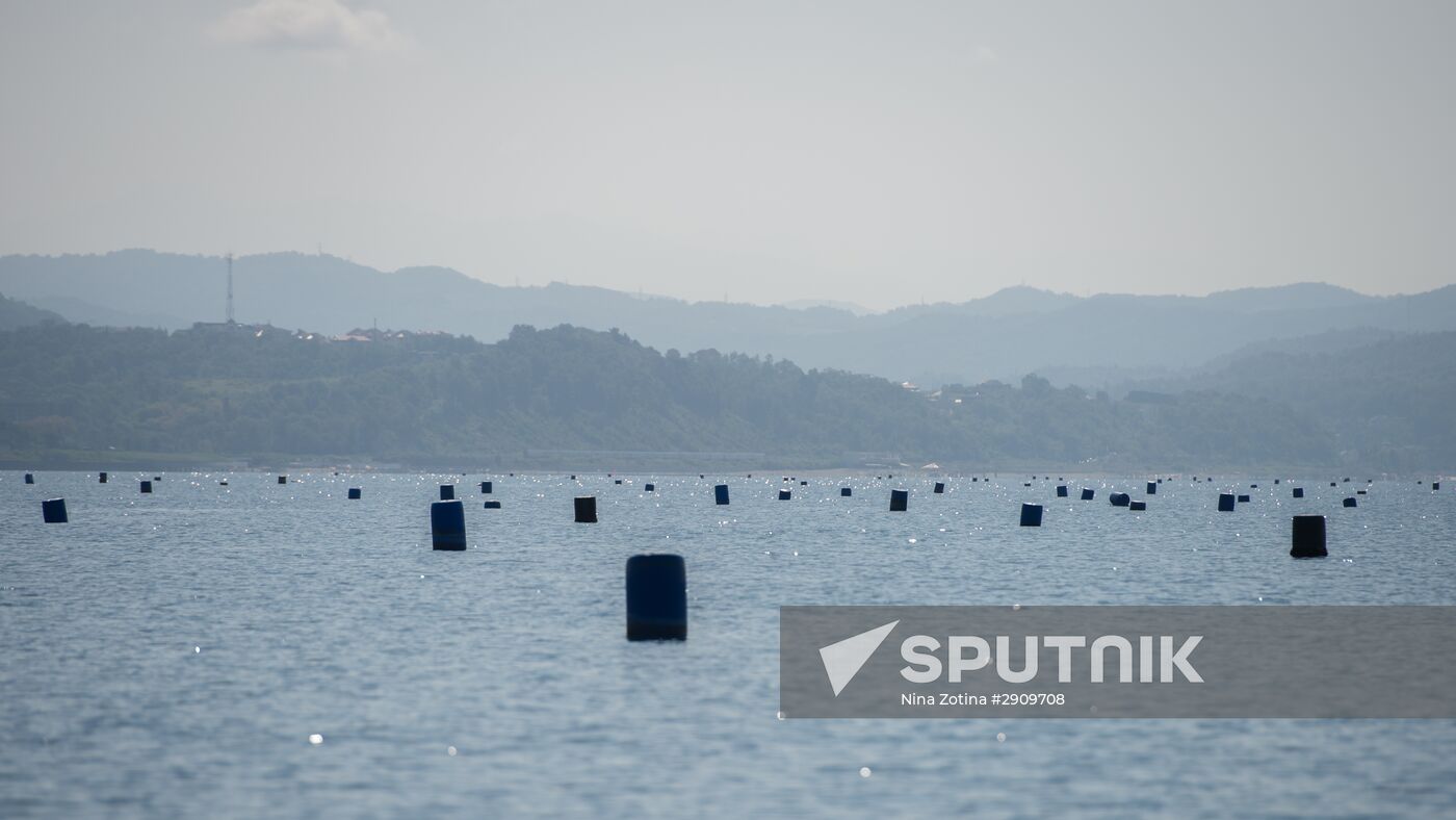 Shellfish farm in Sochi