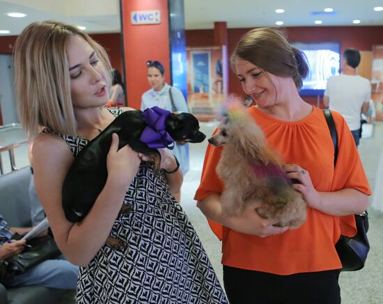 Special screening of The Secret Life of Pets animated comedy