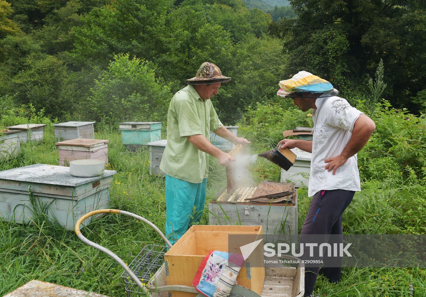 Beekeeping in Abkhazia