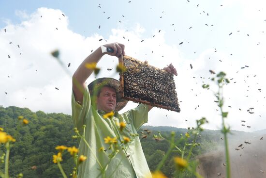 Beekeeping in Abkhazia