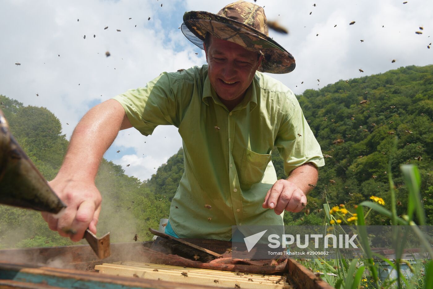 Beekeeping in Abkhazia