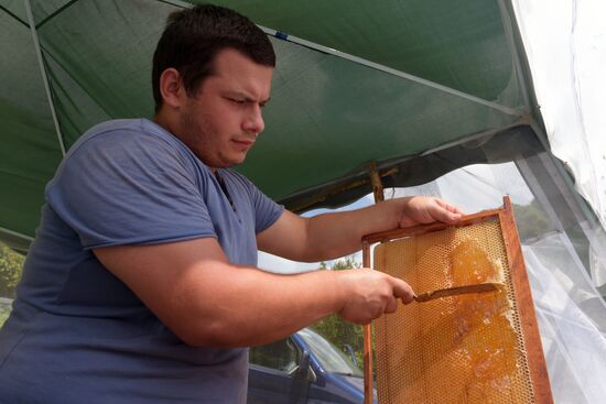 Beekeeping in Abkhazia