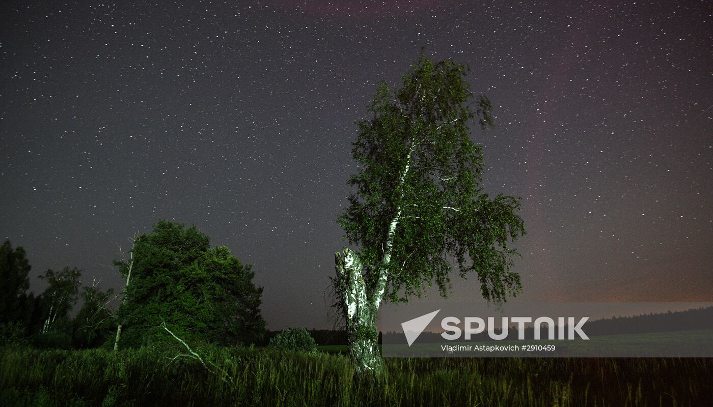 Perseid meteor shower