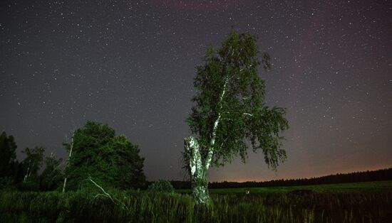 Perseid meteor shower