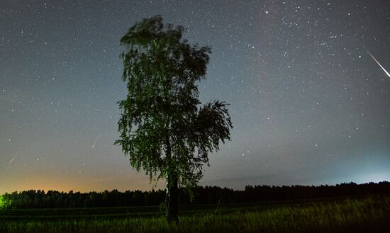 Perseid meteor shower